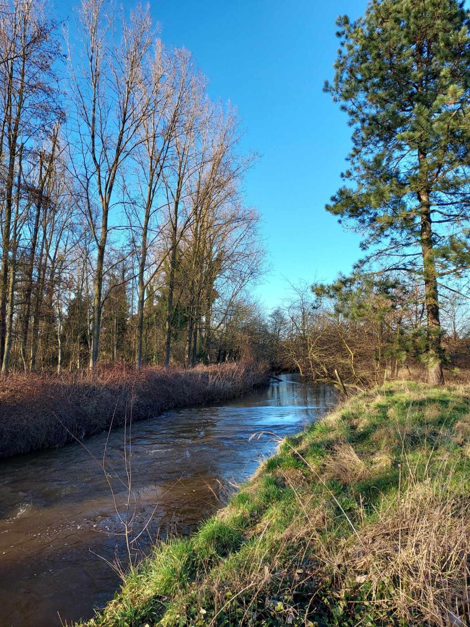 Rustig Gelegen Chalet Kapeki Met Tuin Aan Het Water Гел Экстерьер фото